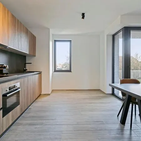 Casiola - Spacious 3 Bedroom With Private Garage 公寓 克诺克－海斯特